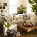 How to choose house flowers for the living room 8