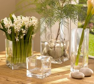 How to choose house flowers for the living room 2 6